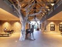 Kapama River Lodge Hotels in Hoedspruit
