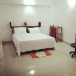 Mount View 11