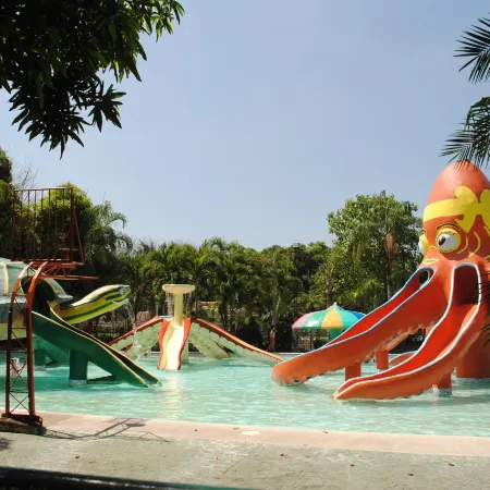 DJ Paradise Hotel