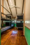 Jackaroo Treehouse Rainforest Retreat Hotels in Wongaling Beach