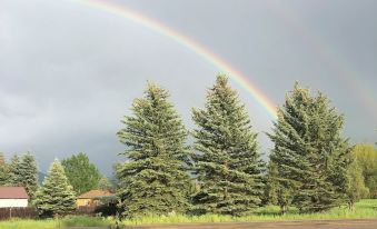 a beautiful double rainbow in the sky above a road with trees and houses , under a cloudy sky at Rays Place Inn