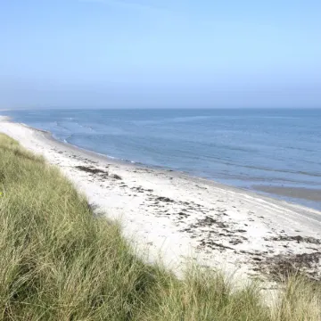 "Jonce" - 400m from the Sea