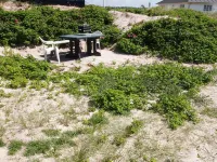 "Analia" -  from the Sea Hotels near Nordsoehavfruen - The North Sea Mermaid