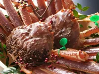 Tango Onsen Hashiudosou