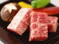 Kyukamura Chausuyama-Kogen Hotel a Urugi