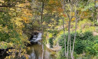 The Fallviews at Burdett Falls