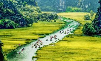 Tam Coc Rocky Bungalow