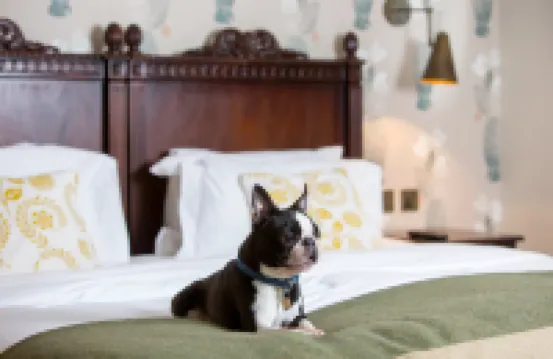 Morton Hotel