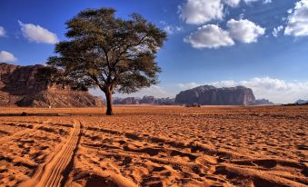 Magic Bedouin Star - Campsite