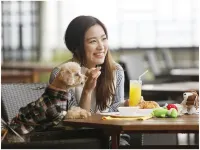 Hotel Nampuro - sarapan