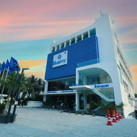 Hotel Blueivy Anand