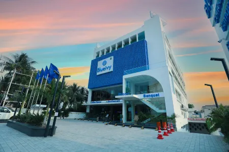 Hotel Blueivy Anand Отели в г. Ананд