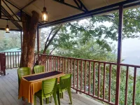 Brahmaputra Jungle Resort - ที่มีสระว่ายน้ำ