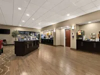 Comfort Suites Hotels near The Hermitage