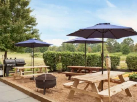 Microtel Inn & Suites by Wyndham Culpeper Hotels in Culpeper