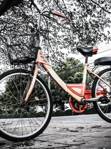 รูปภาพของบ้านคุณยายไม้คุณตา