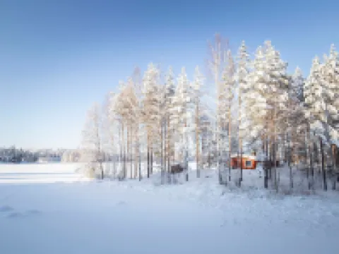 Riihiniemi - Pet friendly