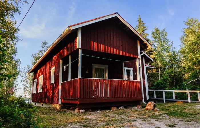 Merimetso 6