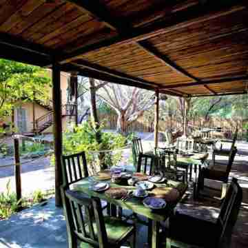 The Water Front Others