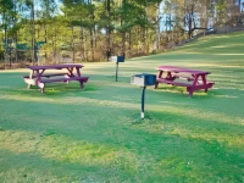 Super 8 by Wyndham Warner Robins