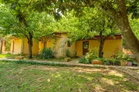 7 Garden Bungalow / Camping