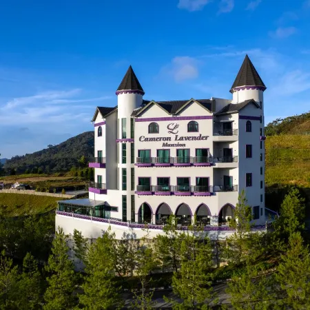 Cameron Lavender Mansion