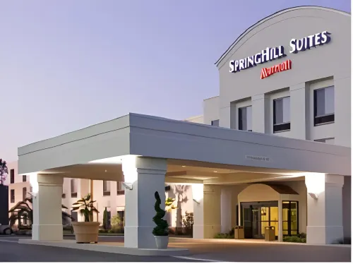 米德蘭敖德薩萬豪SpringHill Suites 酒店 - 3星級