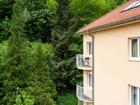 Large Mandala +Sauna Отели в г. Karlovy Vary District