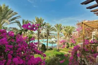 Dream Lagoon Resort & Aqua Park Hotels near Porte d＇entrée port ghalib