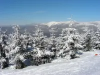 Horní Mísečky Hotels in Vitkovice