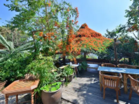 ภูใจใส เมาน์เทน รีสอร์ต Phu Chaisai Mountain Resort โรงแรมในอำเภอ แม่จัน