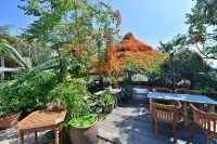 Phu Chaisai Mountain Chiang Rai Resort Hotels in Mae Chan