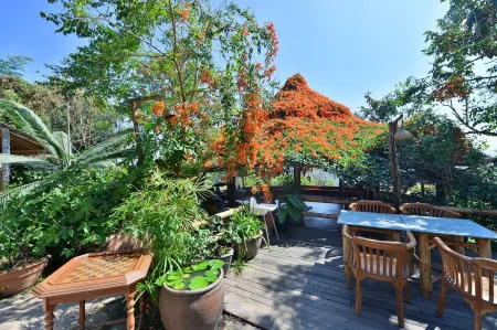 Phu Chaisai Mountain Chiang Rai Resort