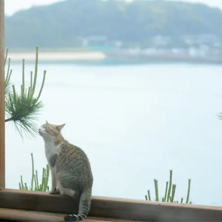 Seaside Inn Hakuo