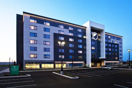 Element Vaughan Southwest Отели рядом с достопримечательностью «Кортрайт Сентр фор Консервейшен»