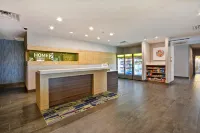普萊諾雷格希西希爾頓惠庭套房飯店 普萊諾住宿飯店