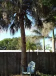 SunCoast Beach & Pool Home Plant Sumner House 주변 호텔