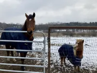 Ultimate Barn Stay with Lots of Space! Visit Farm Animals and 20 Min to Hershey! Hotels in Lebanon County