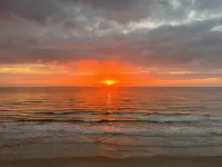 Daytona Beach Seychelles 2BR Luxury Oceanfront Retreat 데이터나 비치 쇼어스 호텔