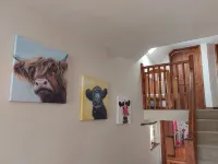 Converted barn with hot tub in north devon