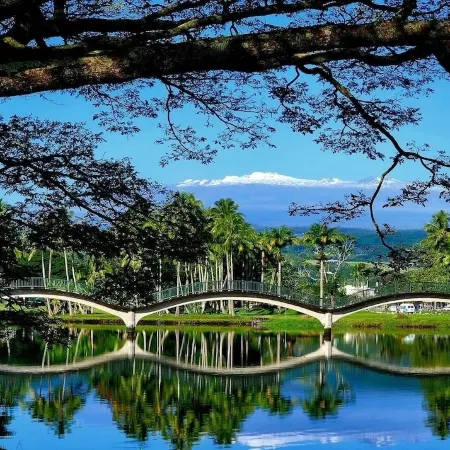 Beautiful Condo in the Heart of Hilo - Pool - A/C #718