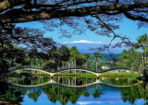 Beautiful Condo in the Heart of Hilo - Pool - A/C #718