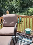 Secluded Cabin Retreat – Peace, Privacy & Nature