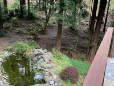 Large house Up in the Redwoods perfect for large families. Pet friendly. Hoteles en Fortuna