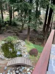 Large house Up in the Redwoods perfect for large families. Pet friendly.