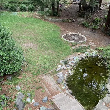 Large house Up in the Redwoods perfect for large families. Pet friendly.
