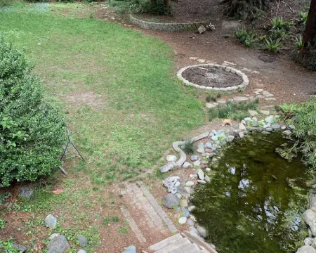 Large house Up in the Redwoods perfect for large families. Pet friendly. Hoteles en Fortuna