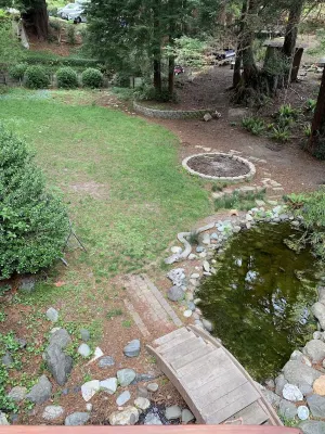 Large house Up in the Redwoods perfect for large families. Pet friendly.