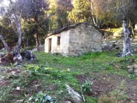 GÎTE, HAUTE CORSE, CASTAGNICCIA, CASABIANCA 35% discount for 5 or 6 overnight stays Hotels in Haute-Corse
