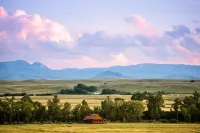 Right on the Yellowstone - 4성급